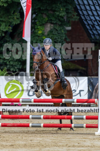 Goldene Schärpe 2021 - Ponys