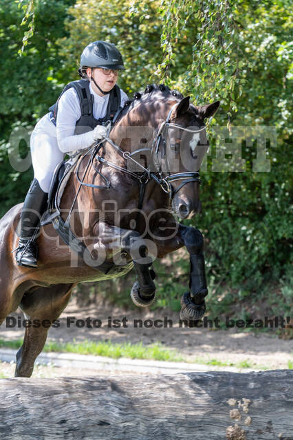 Late-Entry-Vielseitigkeit Langenfeld (06.+07.07.2020)