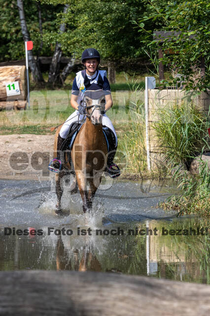 Late-Entry Vielseitigkeit Hamminkeln/Wesel (01.+02.08.2020)