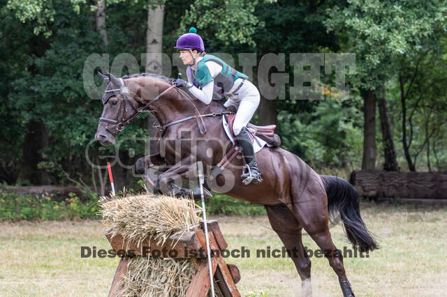 Late-Entry Vielseitigkeit Hamminkeln/Wesel (01.+02.08.2020)