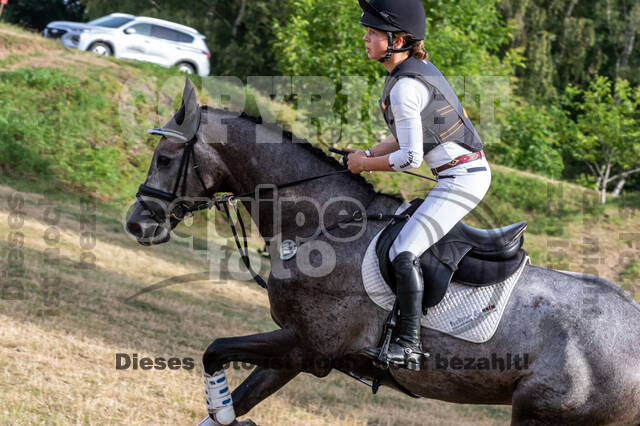 Late-Entry Vielseitigkeit Hamminkeln/Wesel (01.+02.08.2020)