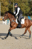 IGV Lehrgang der Sieger der Cups mit Frank Ostholt