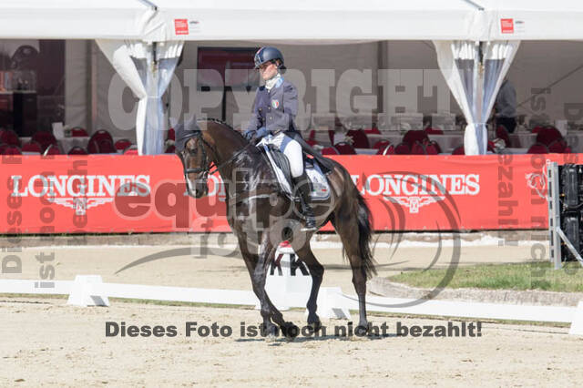 FEI European Championship