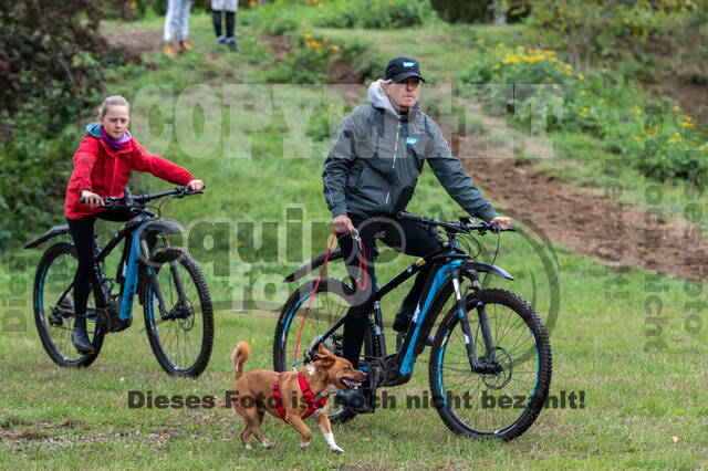 Vielseitigkeit RSV Wesel Obrighoven (26.+27.09.2020)