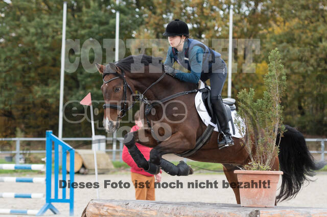 IGV Lehrgang der Sieger der Cups mit Frank Ostholt