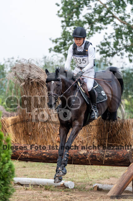 De Peelbergen (August 2020)