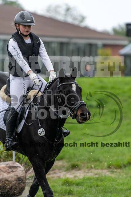 Goldene Schärpe 2020 - Pferde