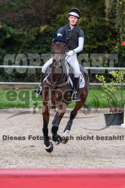 Reiter Schleswig-Holstein