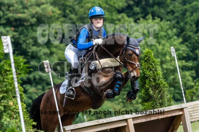 Goldene Schärpe 2021 - Ponys