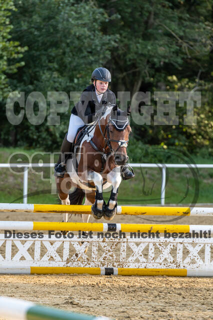 RFV Dinslaken-Hiesfeld (Herbstturnier)