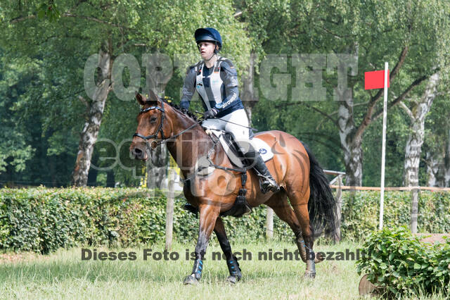 Vielseitigkeitsturnier RFV Bad Honnef