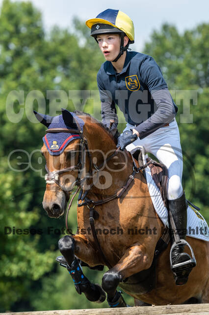 Goldene Schärpe 2021 - Ponys