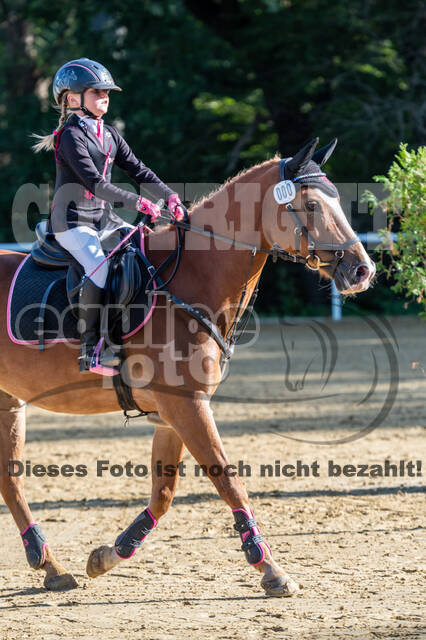 RFV Dinslaken-Hiesfeld (Herbstturnier)