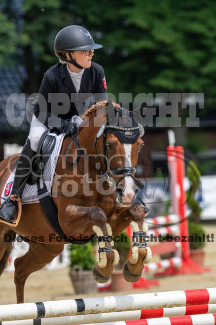 Goldene Schärpe 2021 - Ponys