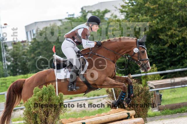 Late-Entry-Vielseitigkeit Langenfeld (06.+07.07.2020)