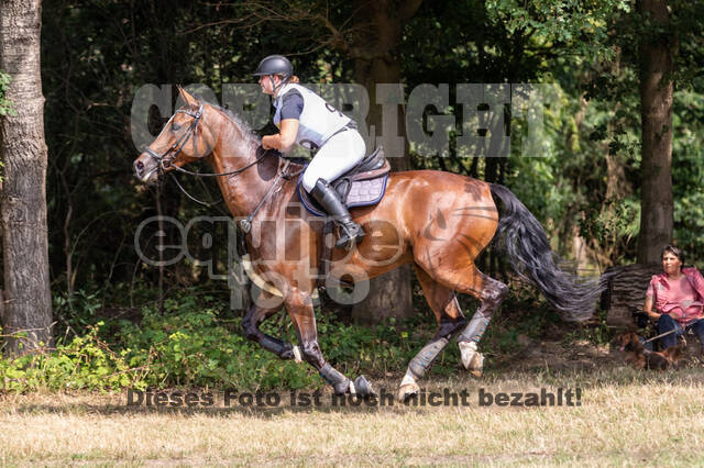 Late-Entry Vielseitigkeit Hamminkeln/Wesel (01.+02.08.2020)