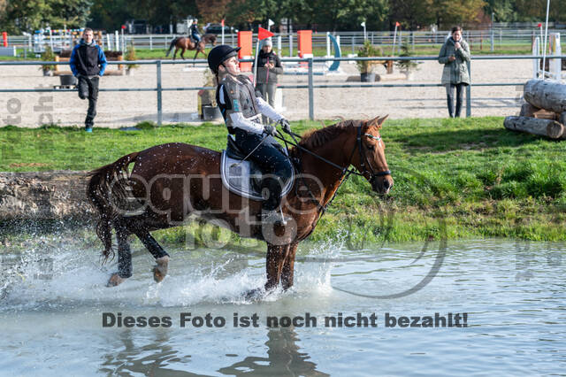 IGV Lehrgang der Sieger der Cups mit Frank Ostholt
