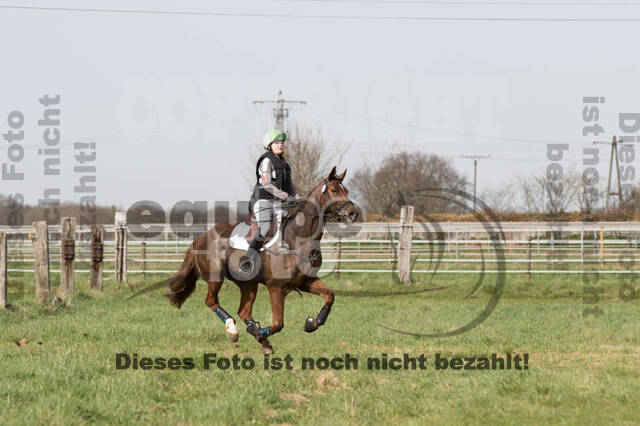 Frühjahrsvielseitigkeit RV Seydlitz Kamp