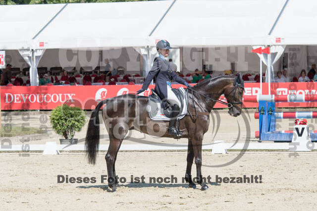 FEI European Championship