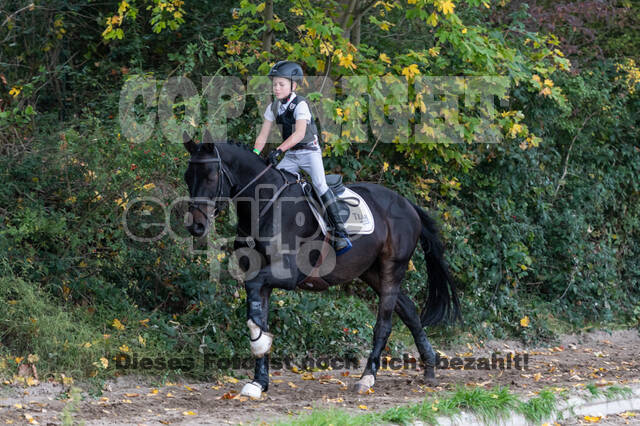 Goldene Schärpe 2020 - Pferde