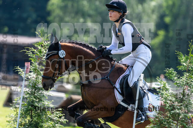 Goldene Schärpe 2021 - Ponys