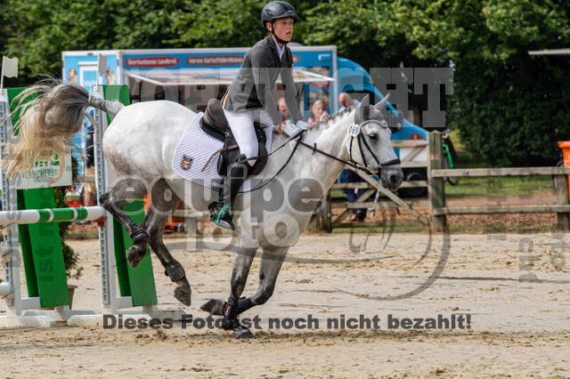 Goldene Schärpe 2021 - Ponys