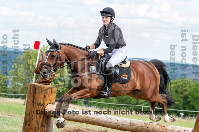 Bonn-Rodderberg Late-Entry-Vielseitigkeit (30.06.2020)