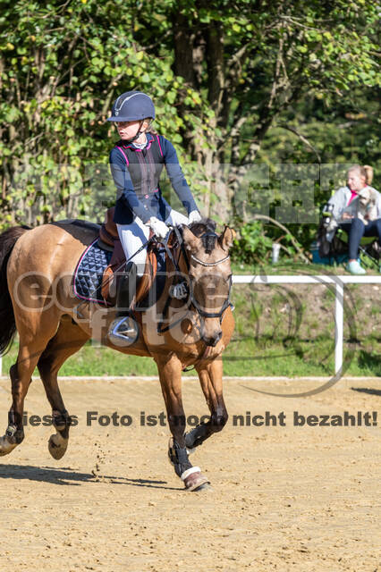 RFV Dinslaken-Hiesfeld (Herbstturnier)