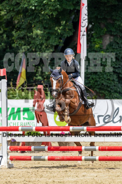 Goldene Schärpe 2021 - Ponys