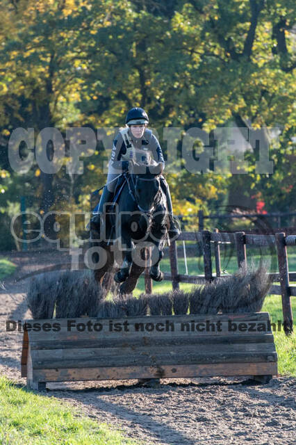 Vielseitigkeitslehrgang mit Jürg Kurbel (9.+10.11.2019)