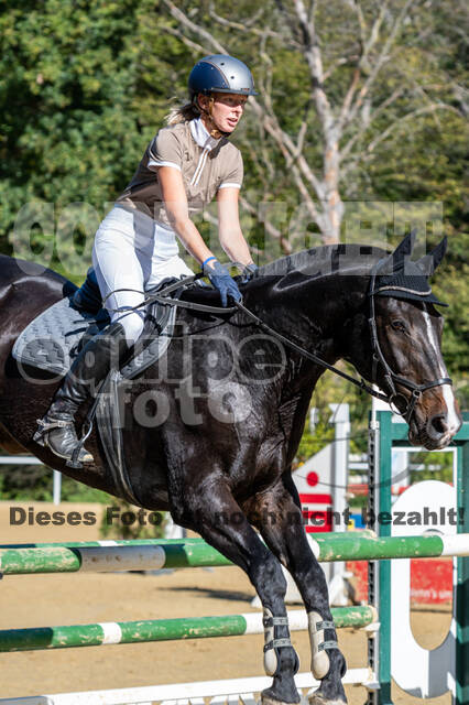 RFV Dinslaken-Hiesfeld (Herbstturnier)