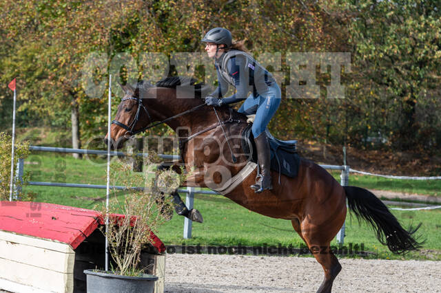 IGV Lehrgang der Sieger der Cups mit Frank Ostholt