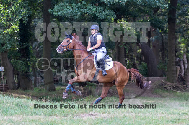 Late-Entry Vielseitigkeit Hamminkeln/Wesel (01.+02.08.2020)