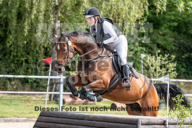 Late-Entry-Vielseitigkeit Langenfeld (11.+13./14.06.2020)