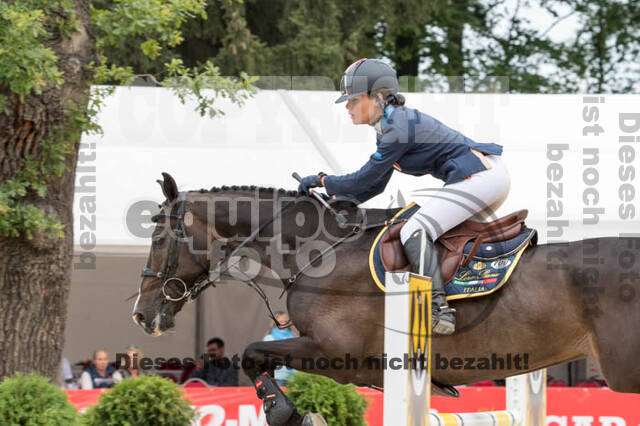FEI European Championship