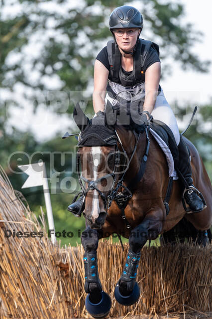 De Peelbergen (August 2020)