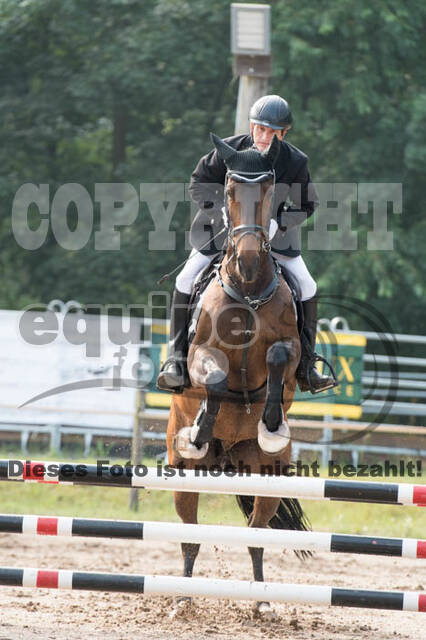 Vielseitigkeitsturnier Bad Honnef