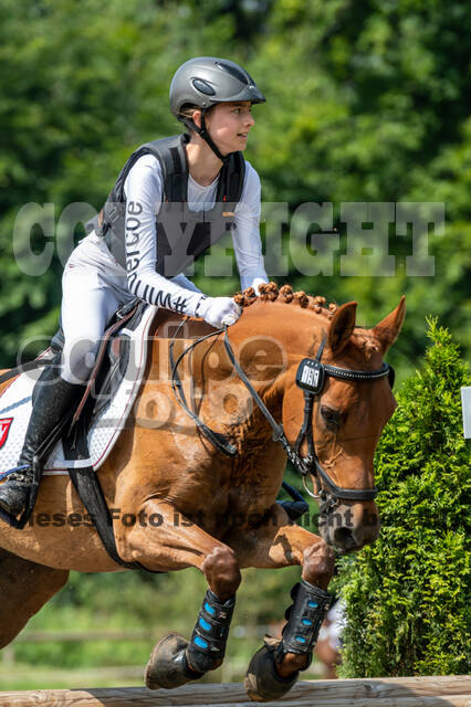 Goldene Schärpe 2021 - Ponys