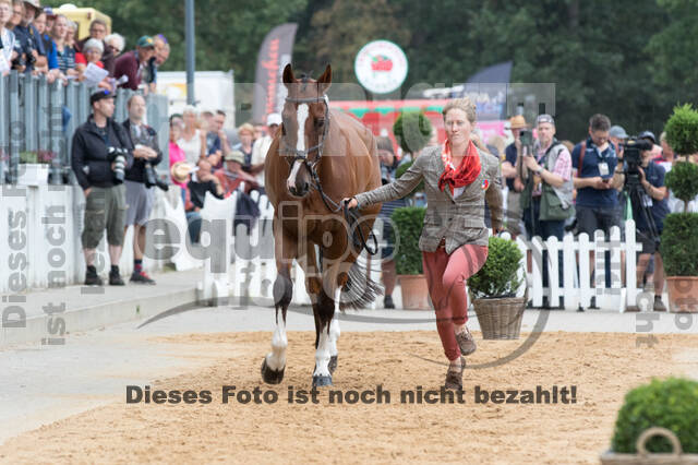 FEI European Championship Eventing 2019
