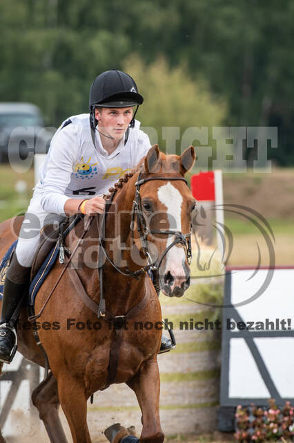 Late-Entry Vielseitigkeit Hamminkeln/Wesel (01.+02.08.2020)