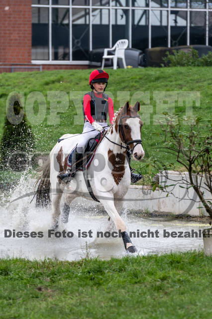 Goldene Schärpe 2020 - Pferde