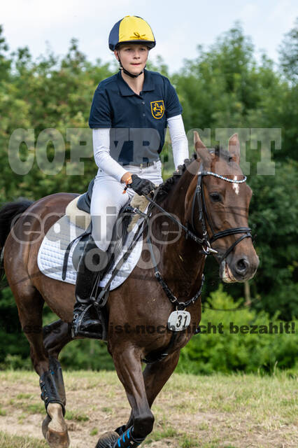 Goldene Schärpe 2021 - Ponys