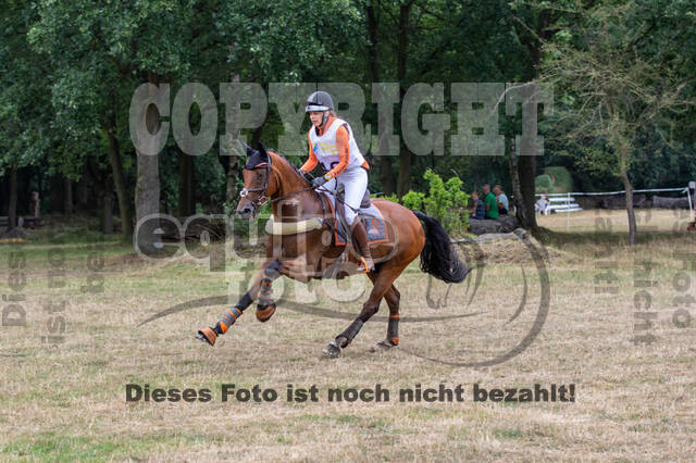 Late-Entry Vielseitigkeit Hamminkeln/Wesel (01.+02.08.2020)