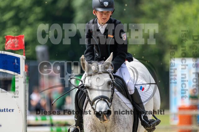 Goldene Schärpe 2021 - Ponys