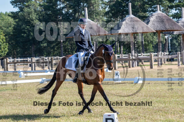 Kronenberg - De Peelbergen (August 2020)