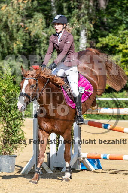 RFV Dinslaken-Hiesfeld (Herbstturnier)