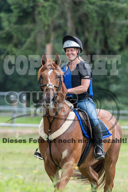 Hunter Geländetraining 10.07.2021 (Sonsbeck)