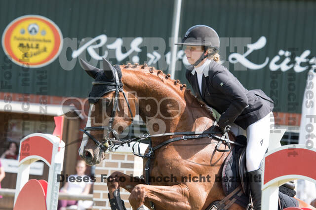 Vielseitigkeitsturnier ZRuFV von Lützow Hamminkeln