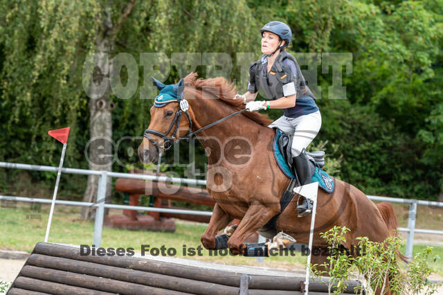 Late-Entry-Vielseitigkeit Langenfeld (11.+13./14.06.2020)