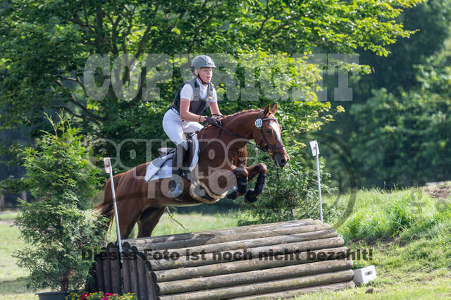 Goldene Schärpe 2021 - Ponys